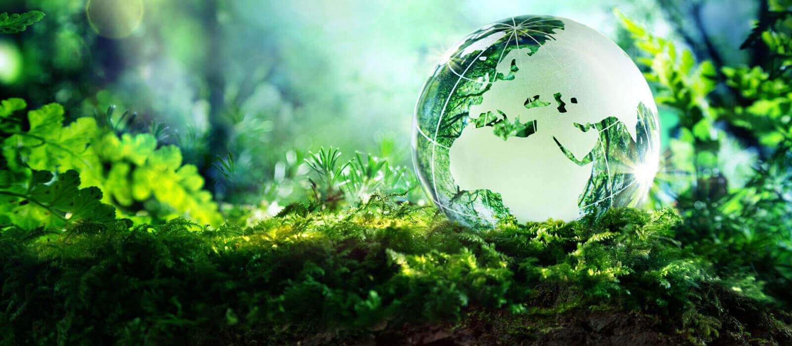 Environment - Adani Transmission Limited
