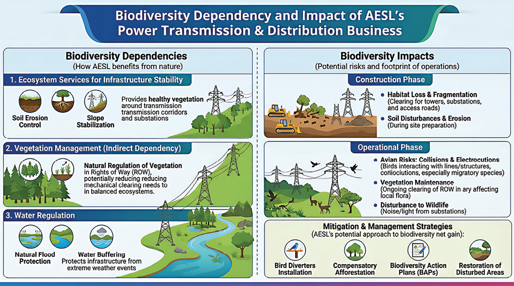 Biodiversity dependency and impact of AESL&rsquo;s power transmission & distribution business â€” dependencies (ecosystem services for infrastructure stability, vegetation management, water regulation) and impacts across construction and operational phases with mitigation and management strategies